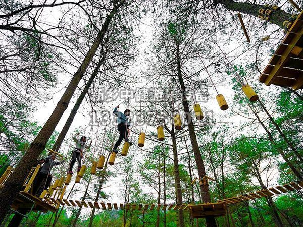 叢林穿越設備的搭建對環(huán)境有影響嗎？